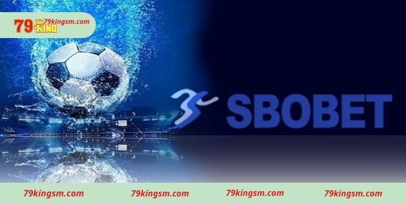 Tại sao nên làm đại lý Sbobet 79king?